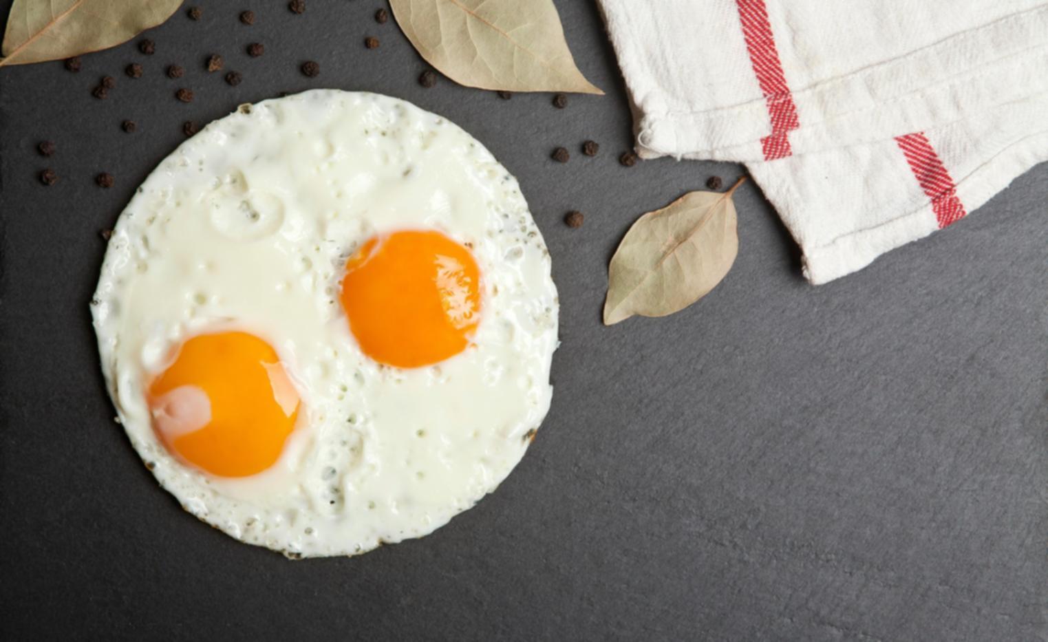 Travail de précision sur les techniques de découpe et préparation